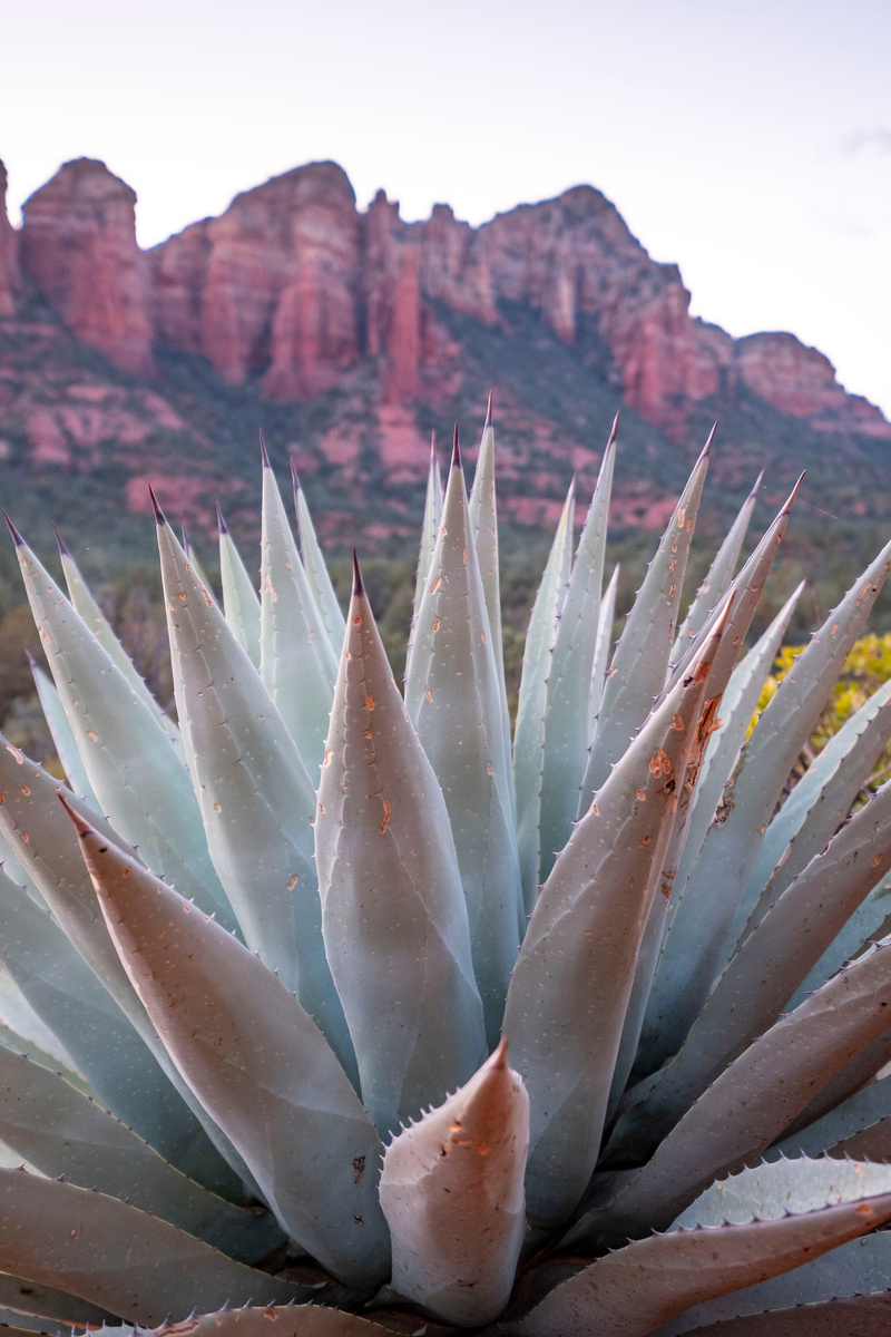 Sedona Arizona